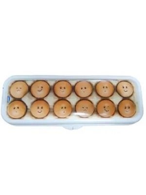 Porta-Ovos Decorado Plasútil 12 Unidades em Plástico Resistente