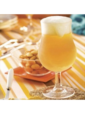 Taça Dublin para Cerveja 400ml – Vidro Transparente Premium, Bojo Arredondado para Cervejas Artesanais, IPA, Belgian e Degustações